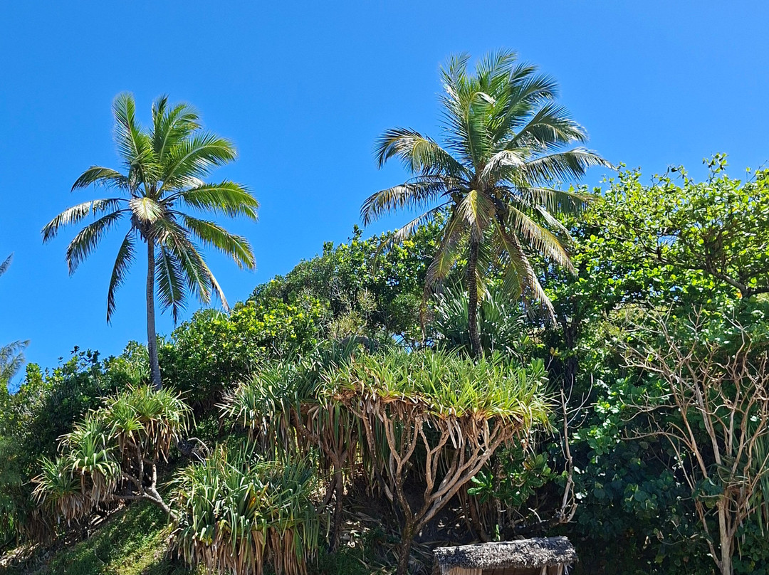 Natiora Green Lodge主图