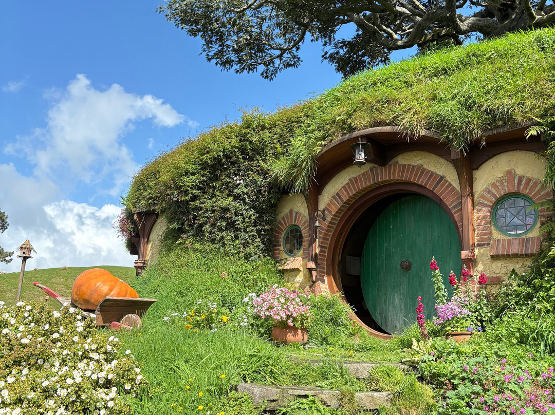 Amazing New Zealand Itineraries-奥克兰中心地区必去景点