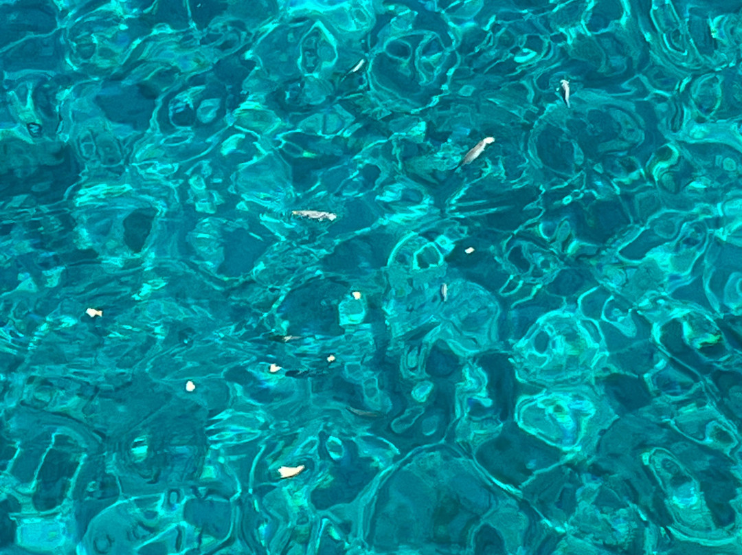 Ierapetra Cruise-Ierapetra必去景点