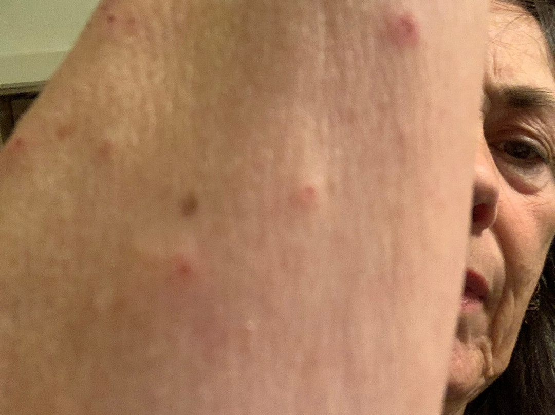 Hotel Duinzicht主图