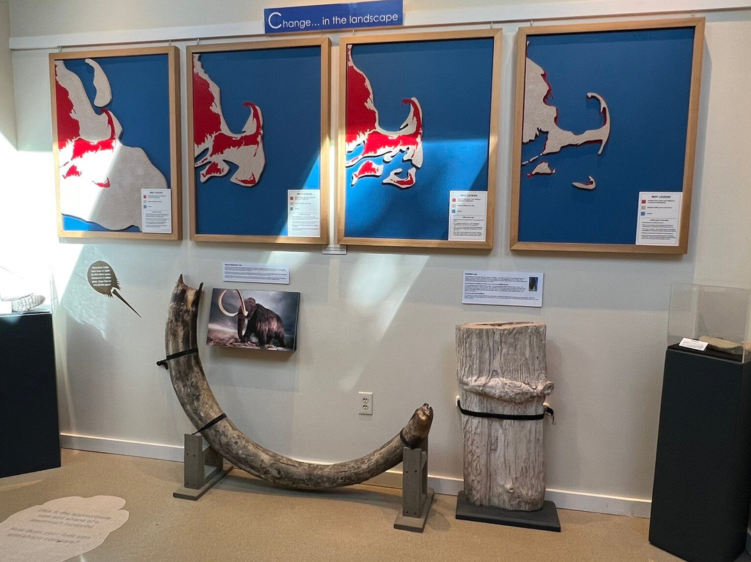Cape Cod Museum of Natural History-Brewster必去景点