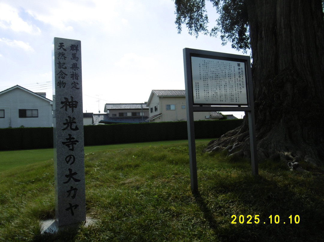 Shenguang Temple-邑乐町必去景点