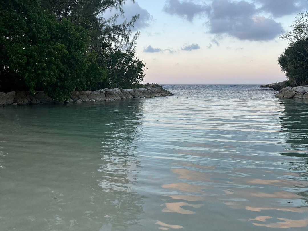 Trident Castle主图