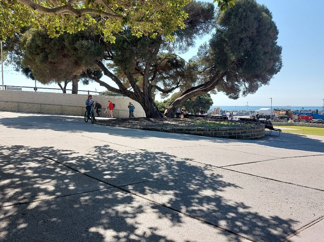 Thomson Bay-罗特尼斯岛必去景点