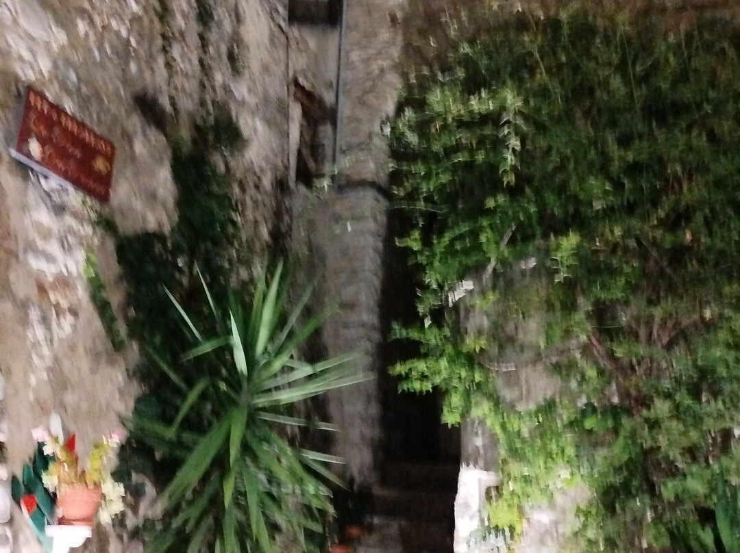 La Rosa Del Barone
