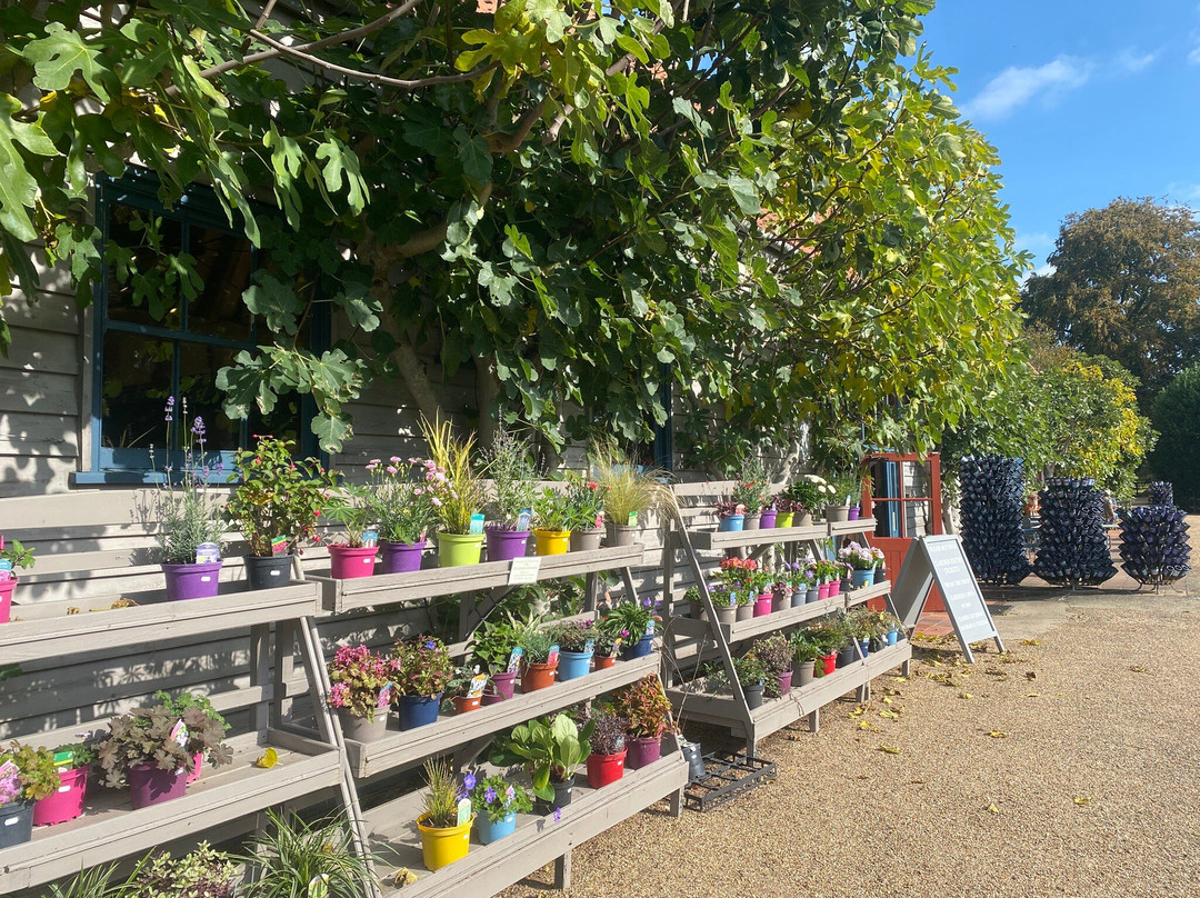 Wyken Vineyards - Gardens & Country Store-Ixworth必去景点