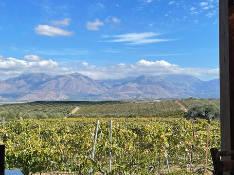 Wine Walkers Crete-伊拉克利翁必去景点
