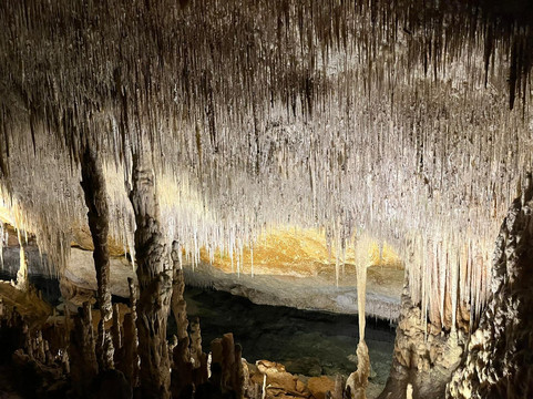 Roig Mobility & Experiences-马洛卡帕尔马必去景点