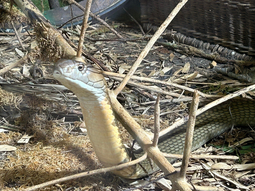 Reptilienzoo Allgäu-菲森必去景点