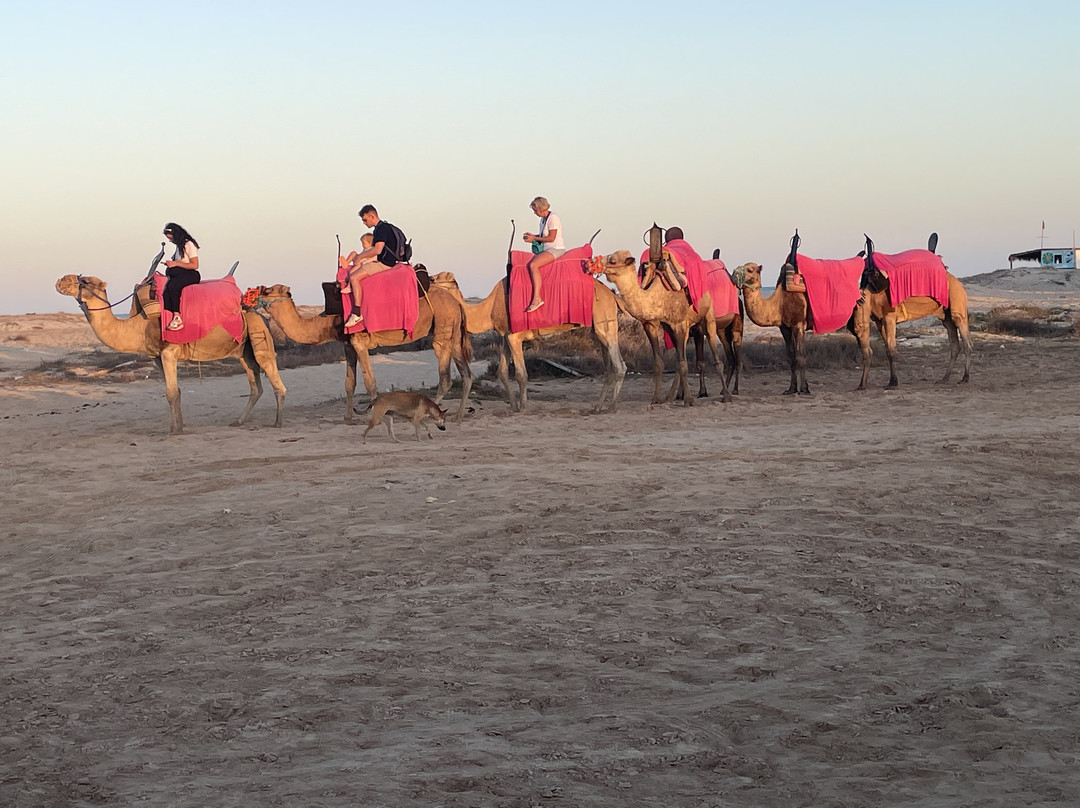 Ennakhil de tourisme Djerba-米栋必去景点