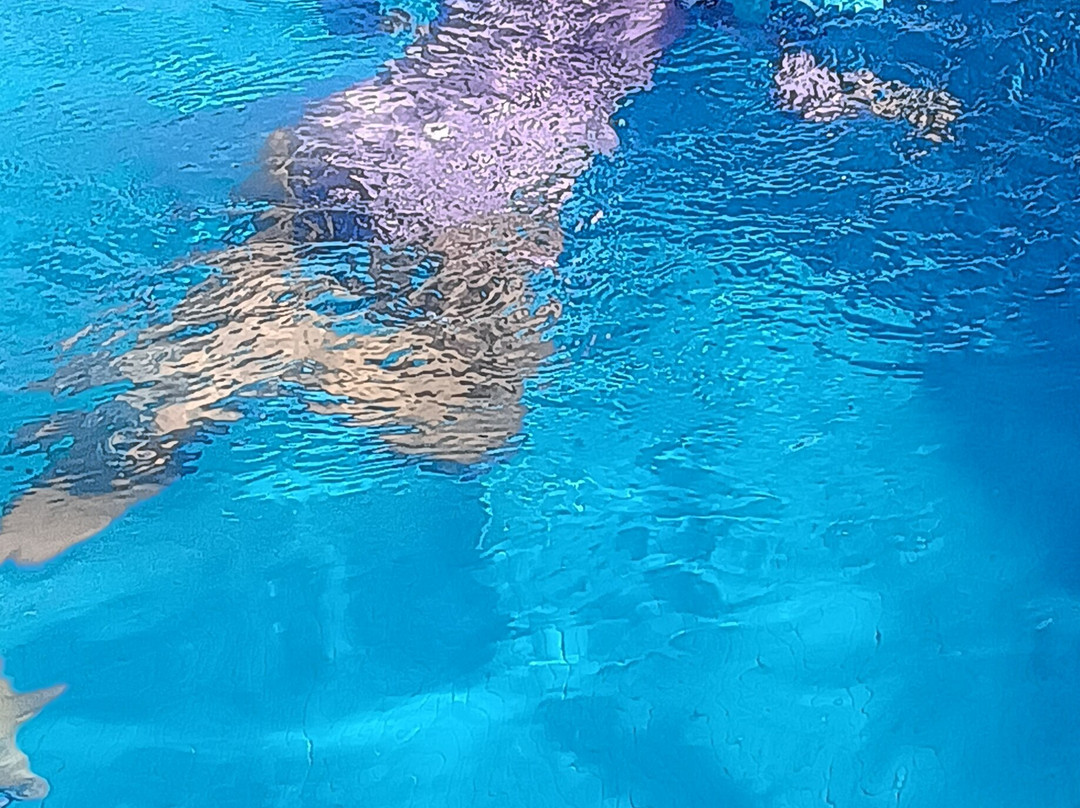 Oceano Palace Beach Hotel主图