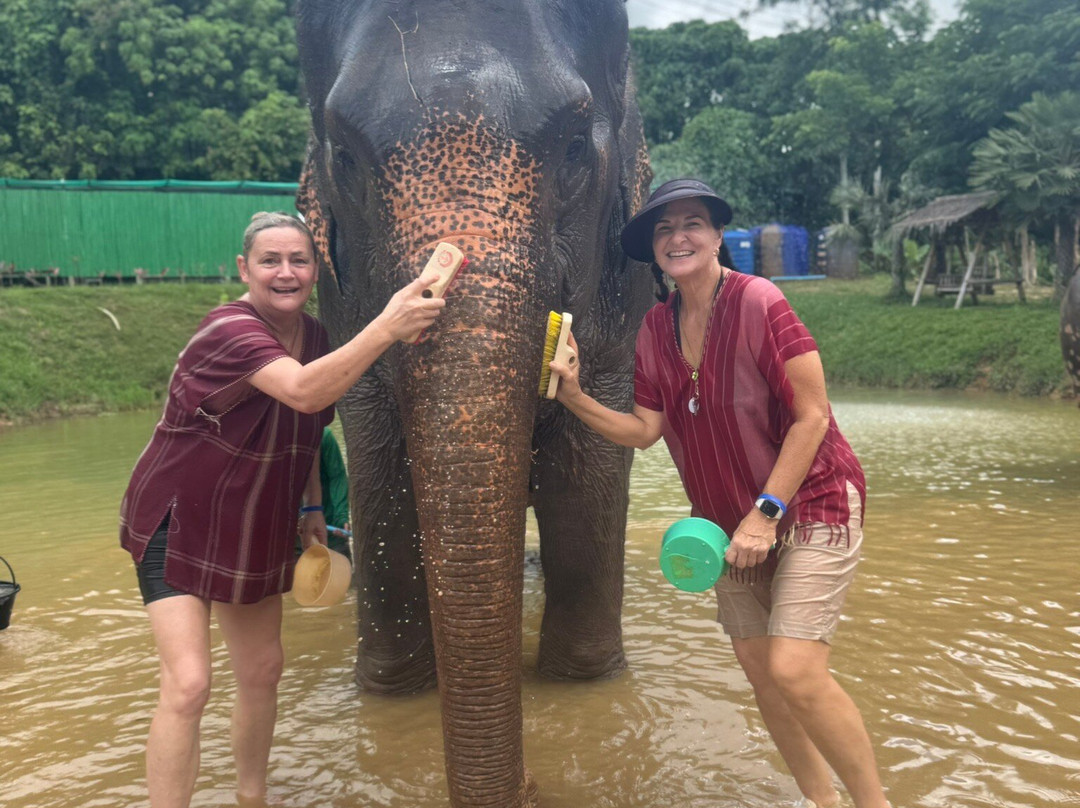 Kerchor Elephant Family Phuket-卡图必去景点