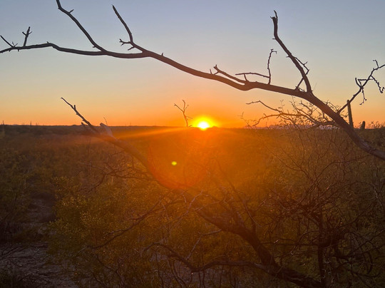 Rockin' Star Ranch-图森必去景点