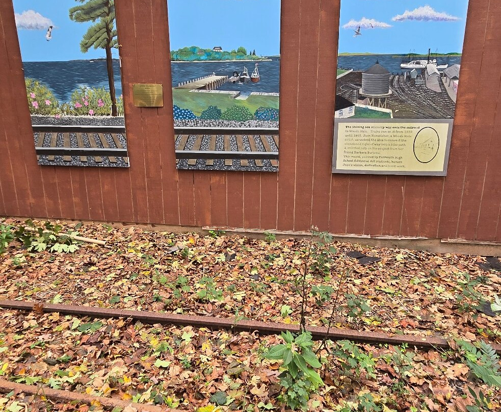 Shining Sea Bikeway-法尔茅斯必去景点