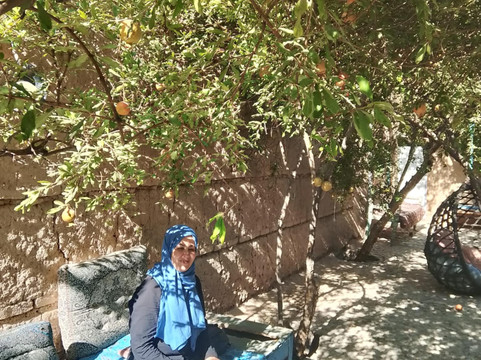 Amir Yazd Tour Guide-亚兹德必去景点