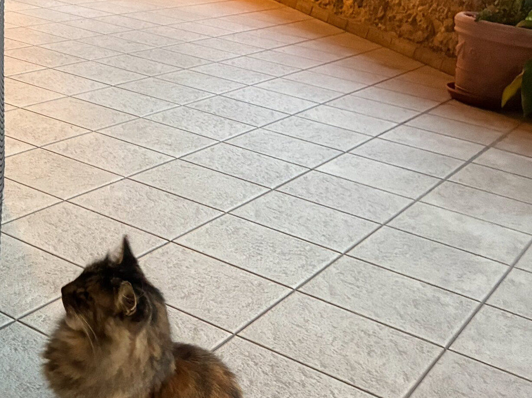 Hotel Il Cavalier D'Arpino主图