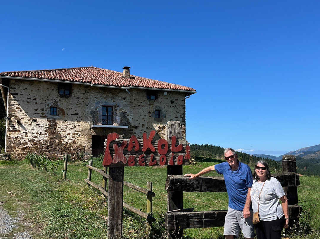 ToursByBasques Private Guided Tours-毕尔巴鄂必去景点