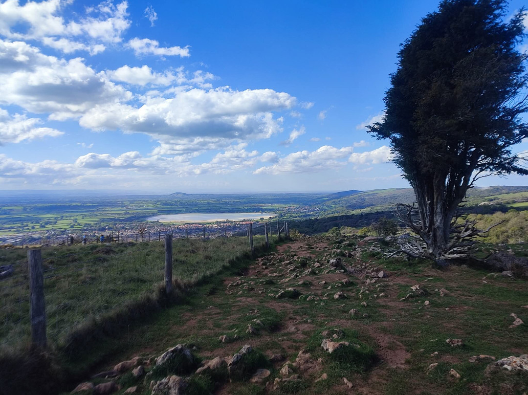 Cheddar Gorge Cliff-top Walk