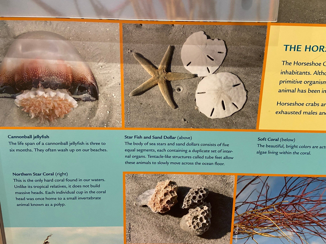 Coastal Discovery Museum-希尔顿头岛必去景点