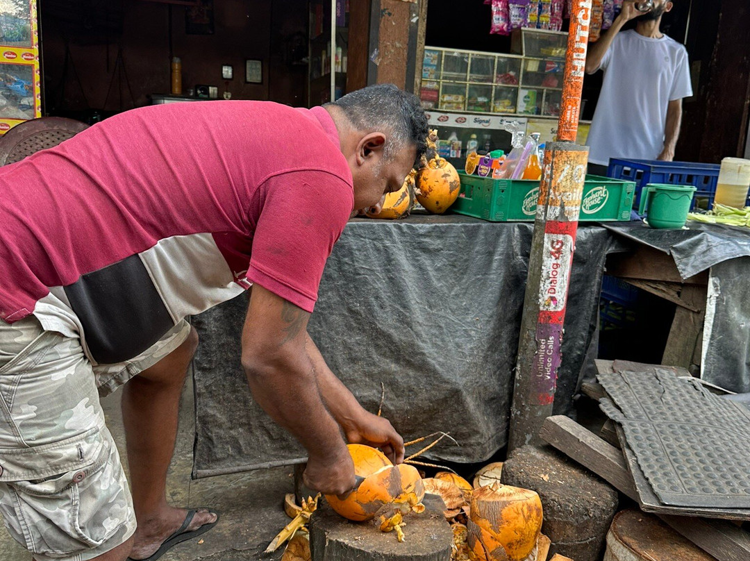 Kandy Blossom Tours-Katugastota必去景点