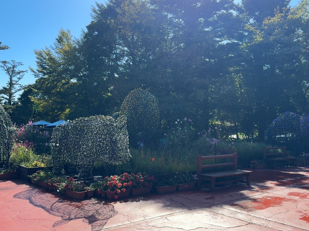 Fuji Safari Park-裾野市必去景点