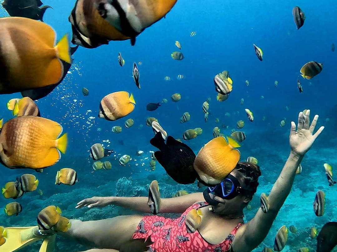 Blue Lagoon Activities Ceningan-努沙切宁安岛必去景点
