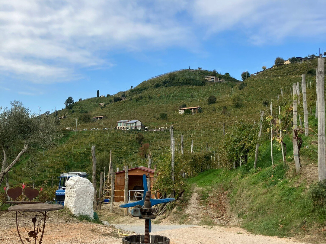 Azienda Agricola Follador Francesco-Valdobbiadene必去景点