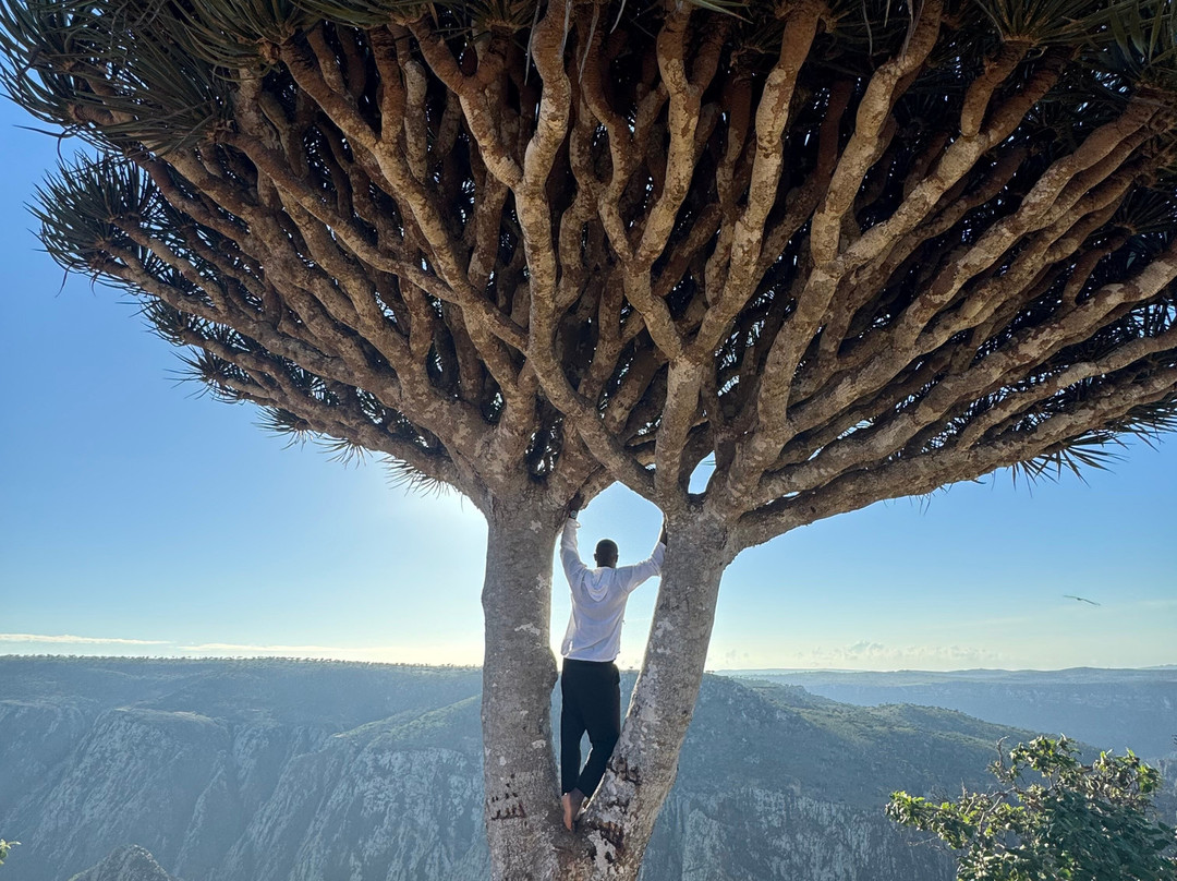 Embrace Socotra-Hadiboh必去景点