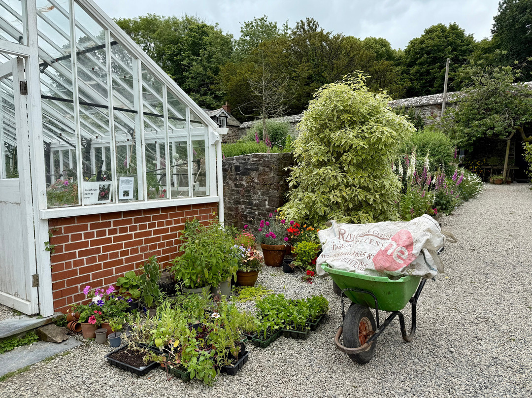 Clovelly Court Gardens-Clovelly必去景点
