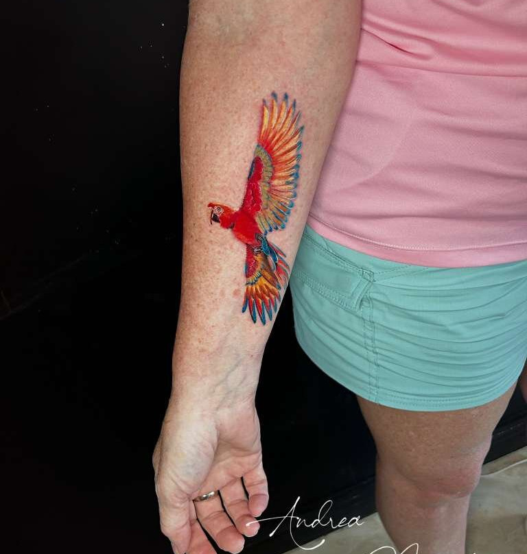 Buena Vibra Tattoo Studio-哈科必去景点