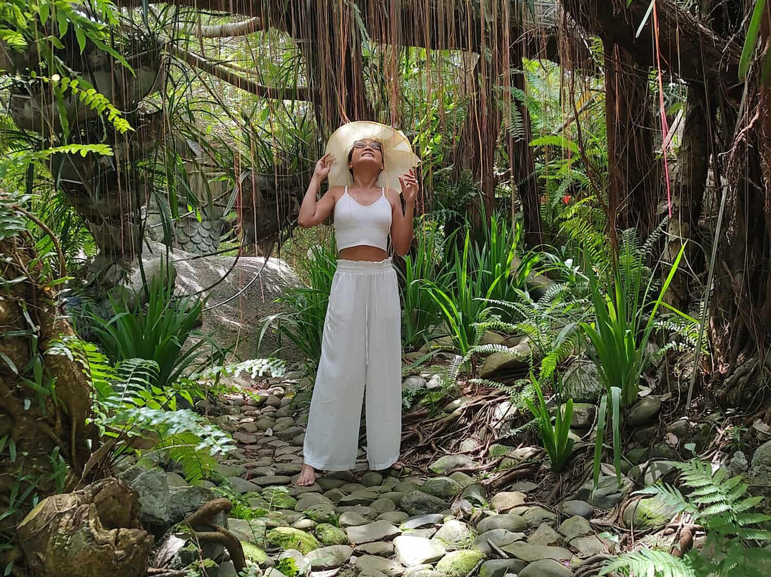 Hot spring Park-岘港必去景点