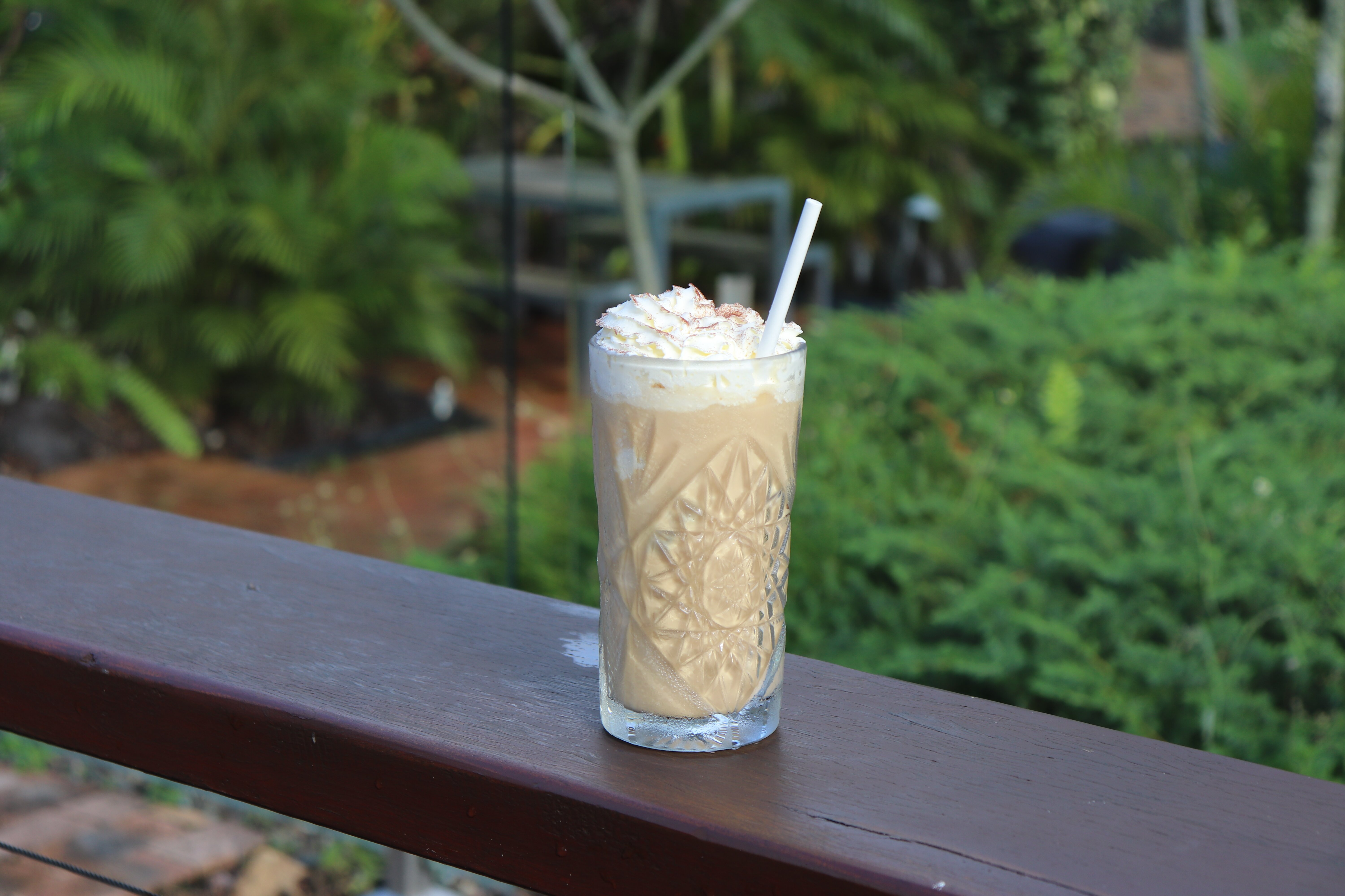 殖民地棕榈汽车旅馆-餐饮