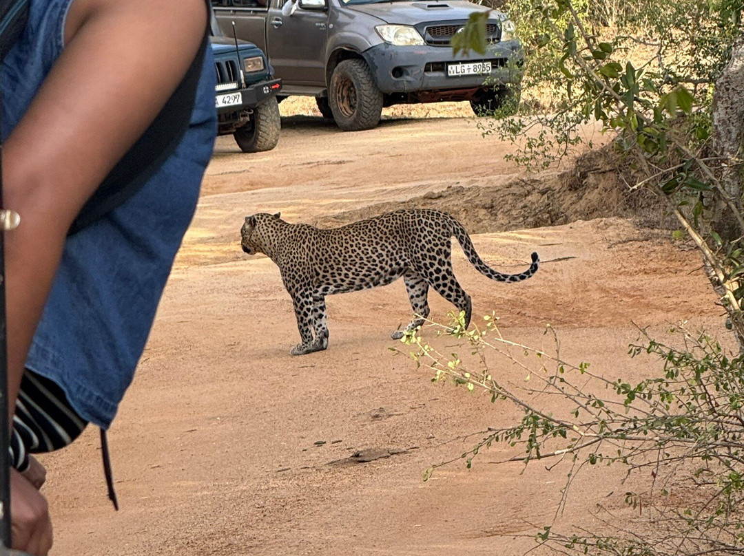 SL Seeland Travels-尼甘布必去景点
