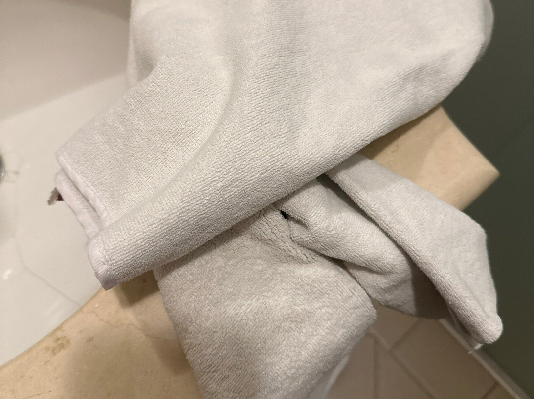 Hotel & Suites Quinta Magna主图