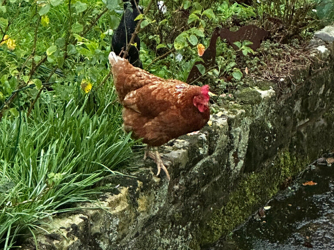 Twyford Farm B&B主图