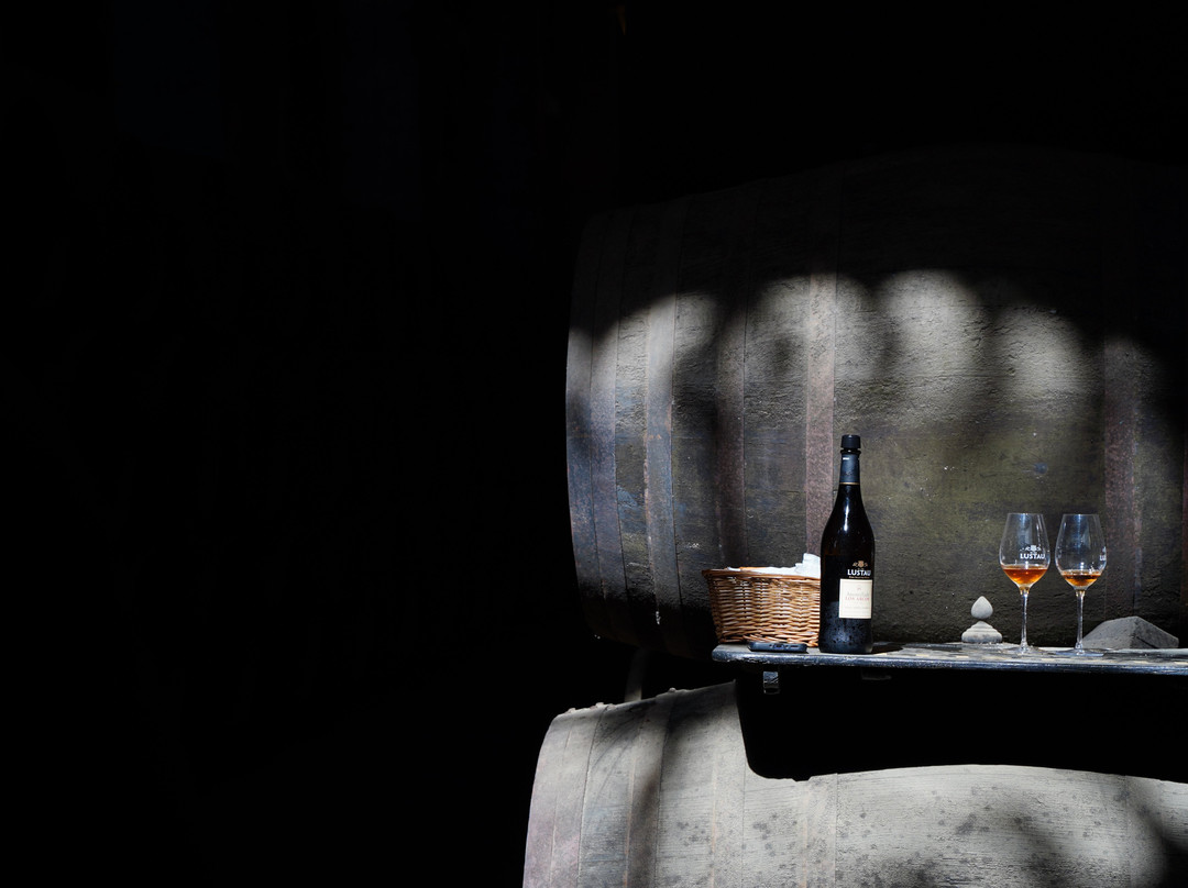 Bodegas Lustau-赫雷斯德拉弗隆特拉必去景点