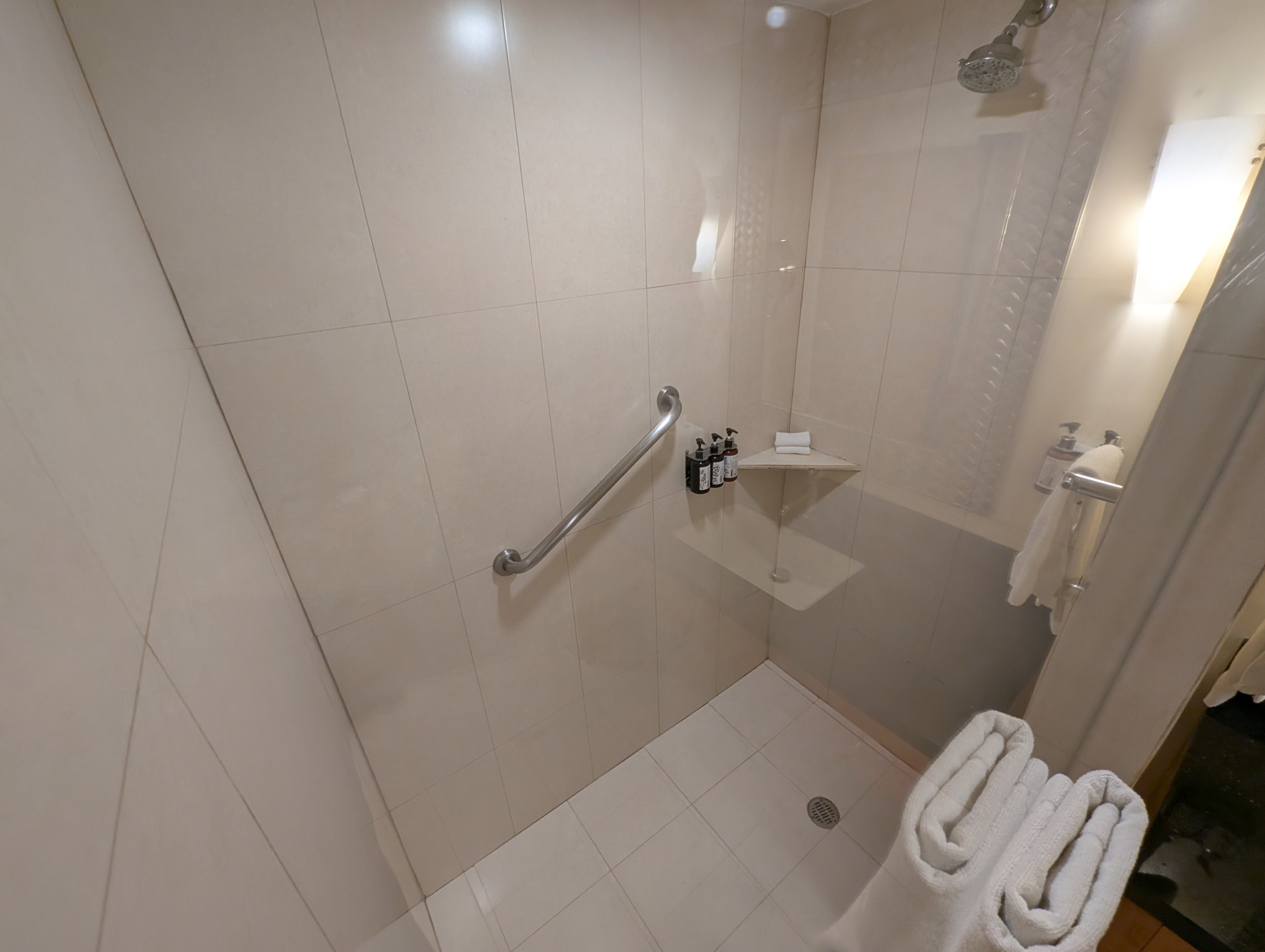 Crowne Plaza Monterrey Aeropuerto by IHG-浴室