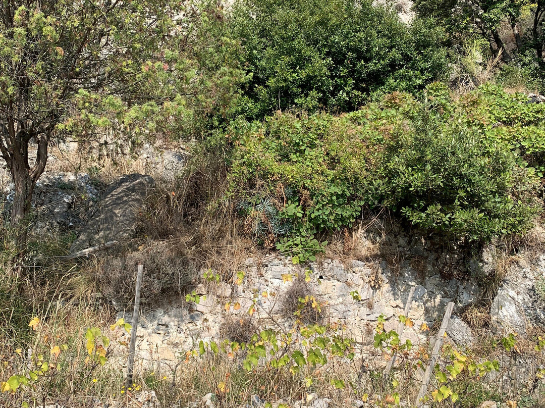 Le jardin médiéval de Sainte-Agnès-Sainte-Agnes必去景点