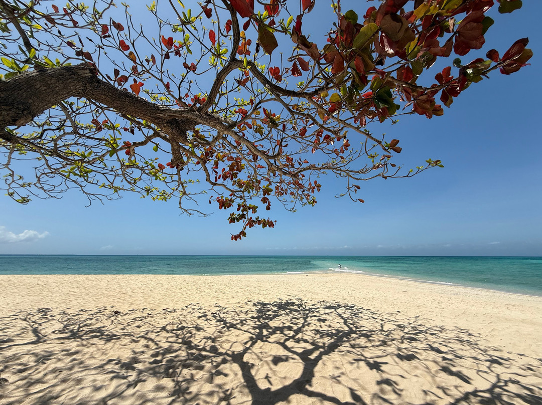Bawe Tropical Island