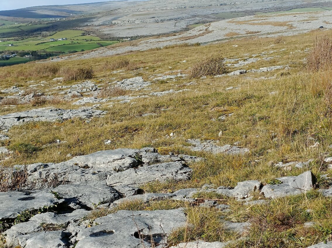 The Burren National Park-Corofin必去景点
