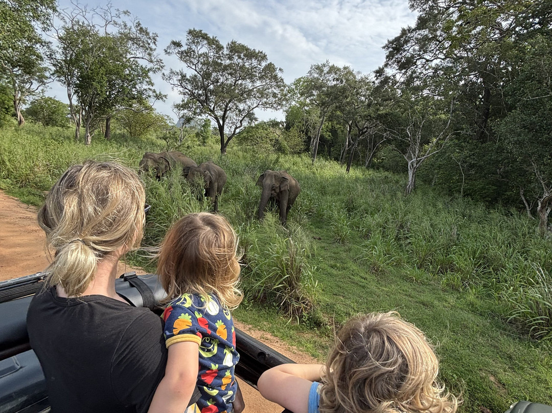 Accessible Safari Experiences-哈巴拉娜必去景点