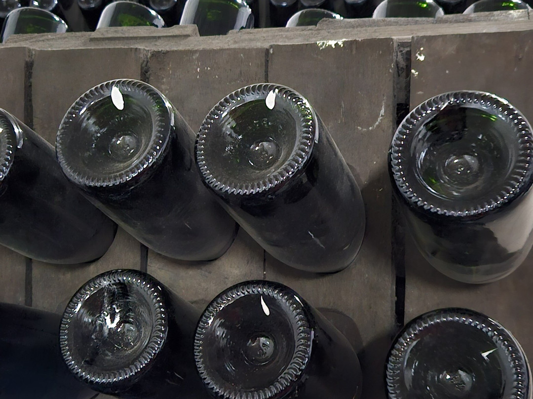 Cricova Winery-Cricova必去景点