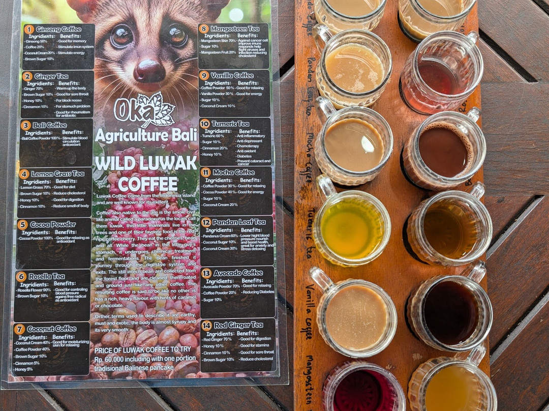 OKA Agriculture Bali-Bangli必去景点