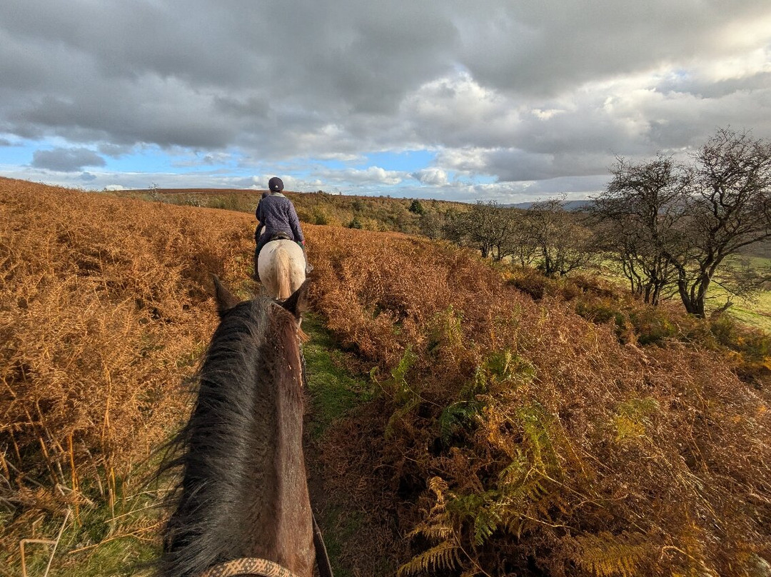 Llangorse Multi Activity Centre-Llangorse必去景点