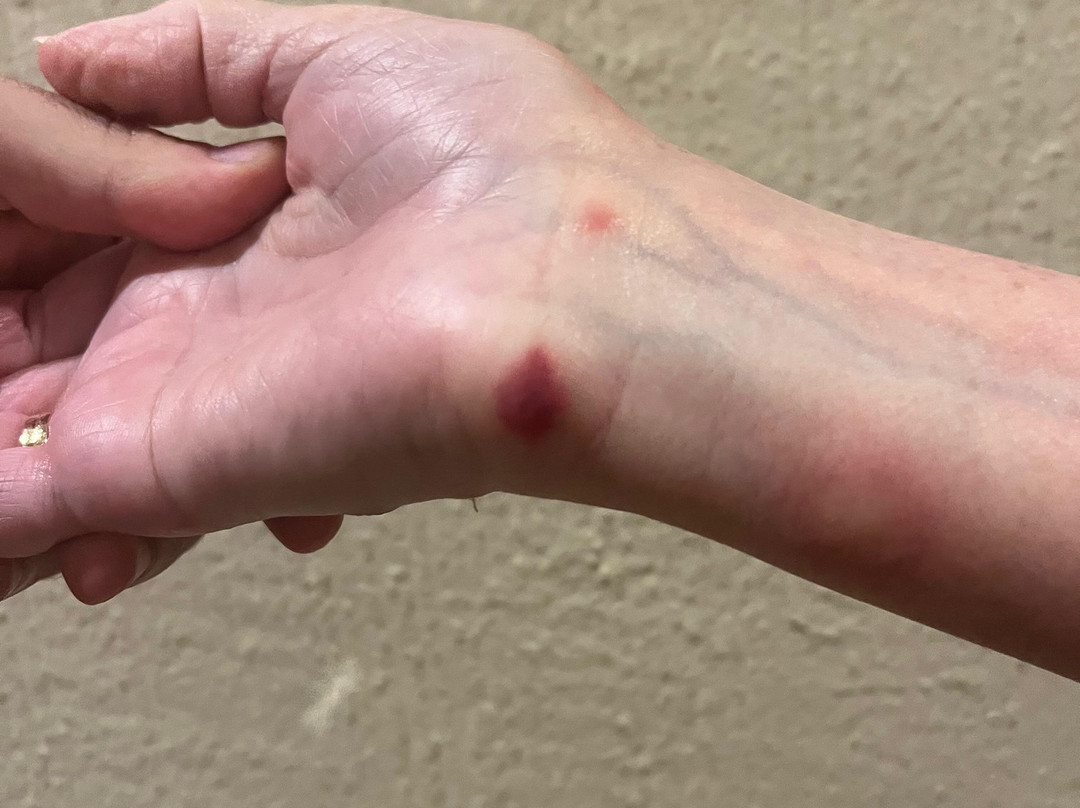 Hotel Termes La Garriga主图