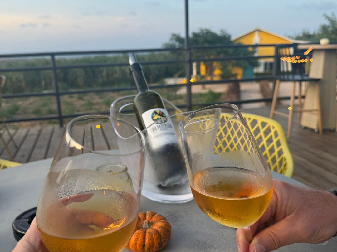 Alto Vista Winery-Noord必去景点