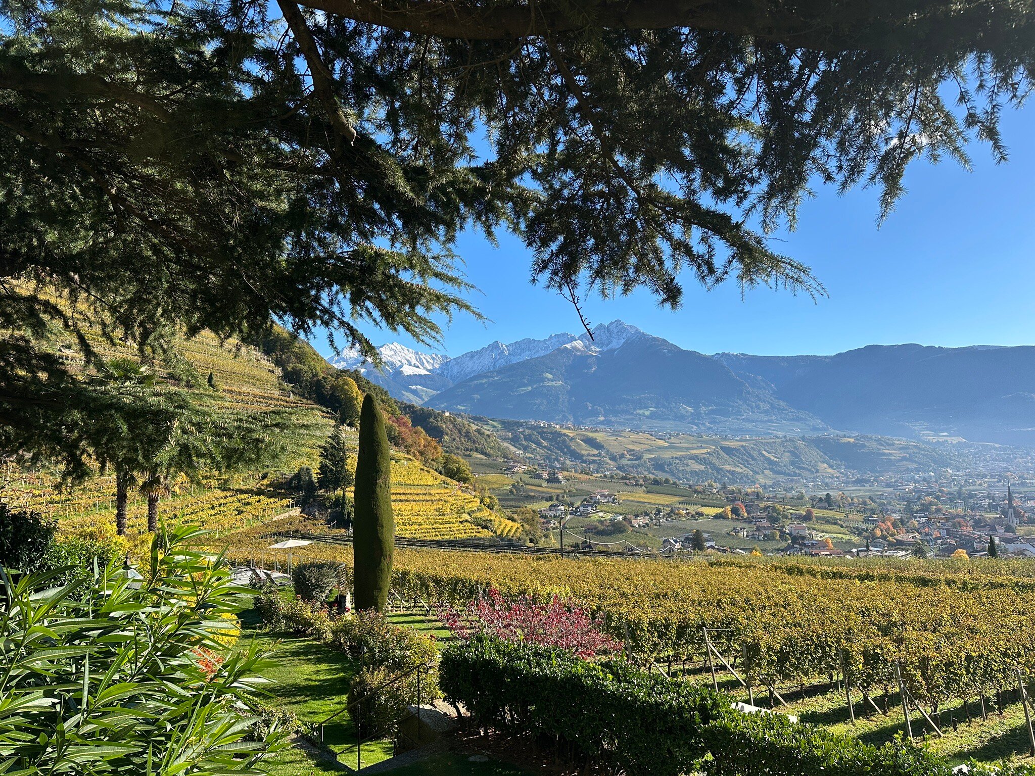 Schloss Plars Wine & Suites-官方