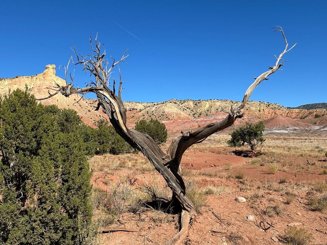 Ghost Ranch - O’Keeffe Landscape Tour-Abiquiu必去景点