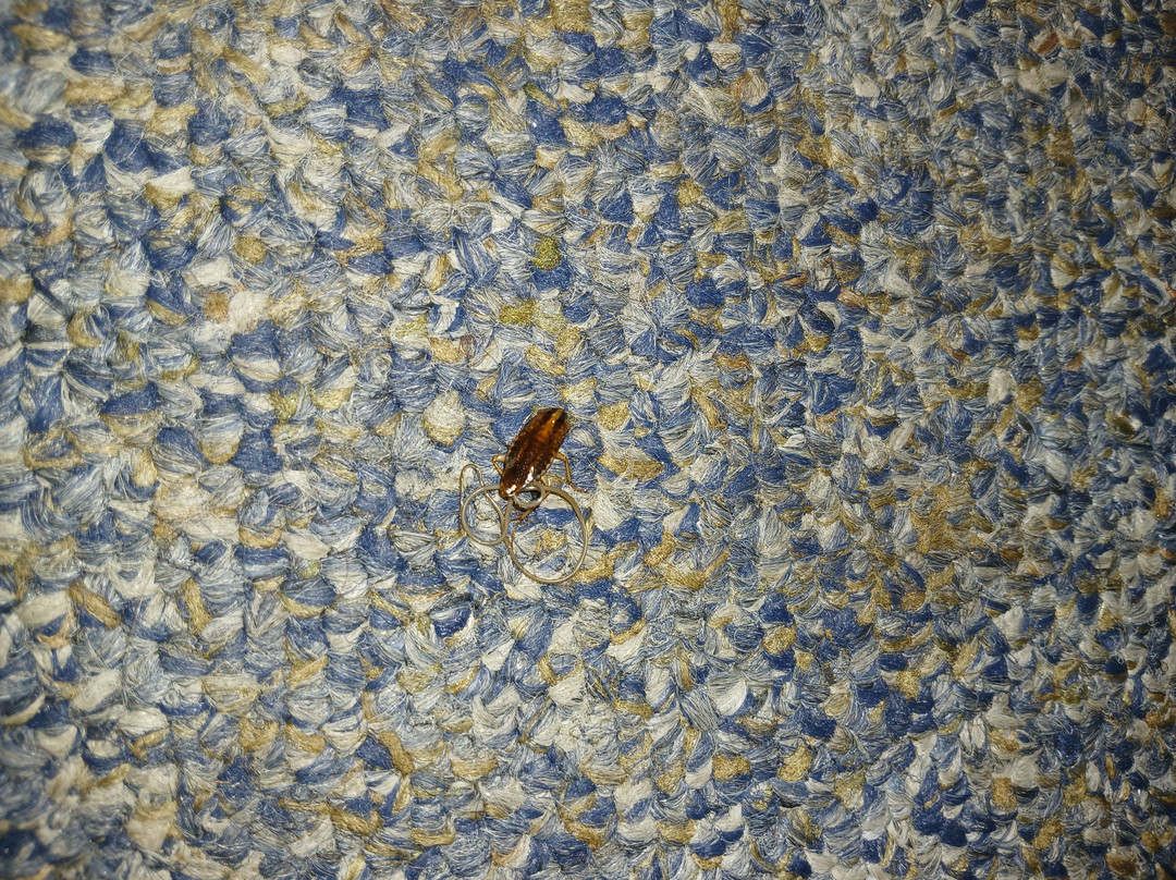 COUNTRY INN AND RV PARK