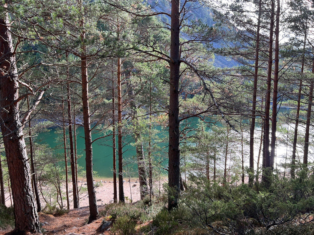 An Lochan Uaine-阿维莫尔必去景点